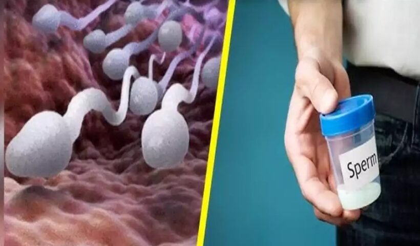 आप भी कमा सकते है वीर्य सेˈ लाखों रूपए, जानें कैसे बेचे ऑनलाइनˌ