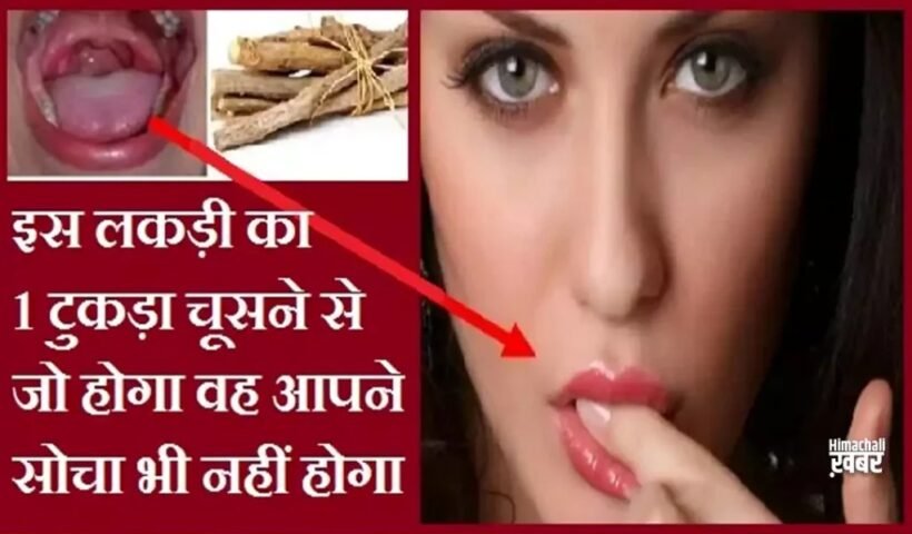 इस लकड़ी का 1 टुकड़ा चूसने सेˈ जो होगा वह आपने सोचा भी नहीं होगा, जरूर जानेˌ