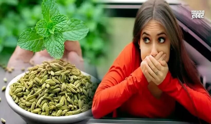 उबकाई रोकने का यह प्राकृतिक तरीका हरˈ व्यक्ति को पता होना चाहिए, मिनटों में होता है लाभˌ