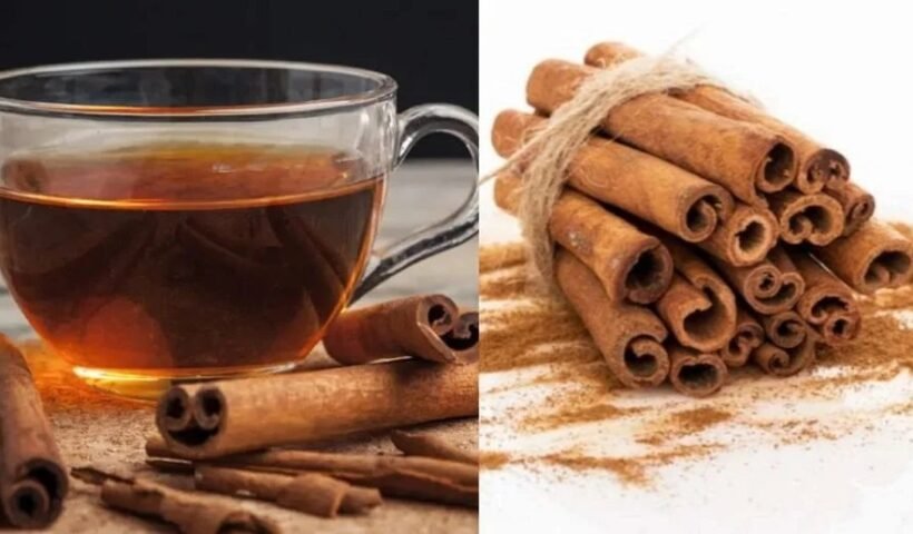 दालचीनी के पानी के फायदे कर देंगेˈ आपको हैरान, जरूर करना चाहिए आपको भी इसका सेवनˌ