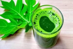 पपीते के पत्तों के जूस का आपˈ भी नहीं जानते होंगे फायदा, नहीं तो आज से ही कर देंगे शुरूˌ