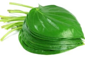 रात में सोने से पहले पान केˈ पत्ते में मिलाकर खा ले ये एक चीज, मर्दाना ताकत बढ़ जाएगी ऐसी की…ˌ