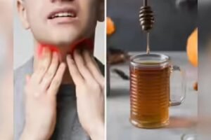 सीने में जमा बलगम हो या गलेˈ की कफ बस 1 गांठ से पाएं तुरंत राहत “ऐसा असर की दवाइयाँ भी फेल हो जाएं