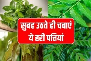 सुबह उठते ही चबाएं ये हरी पत्तियां!ˈ 4 बड़ी स्वास्थ्य समस्याओं से तुरंत राहत पाएंˌ