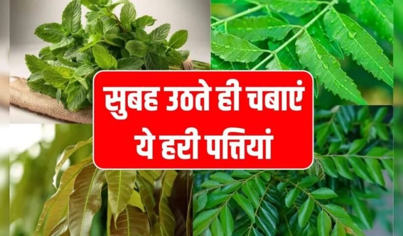 सुबह उठते ही चबाएं ये हरी पत्तियां!ˈ 4 बड़ी स्वास्थ्य समस्याओं से तुरंत राहत पाएंˌ