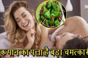 सोने से पहले शादीशुदा पुरुष खा लेंˈ सिर्फ़ एक पान, फिर देखें क़मालˌ