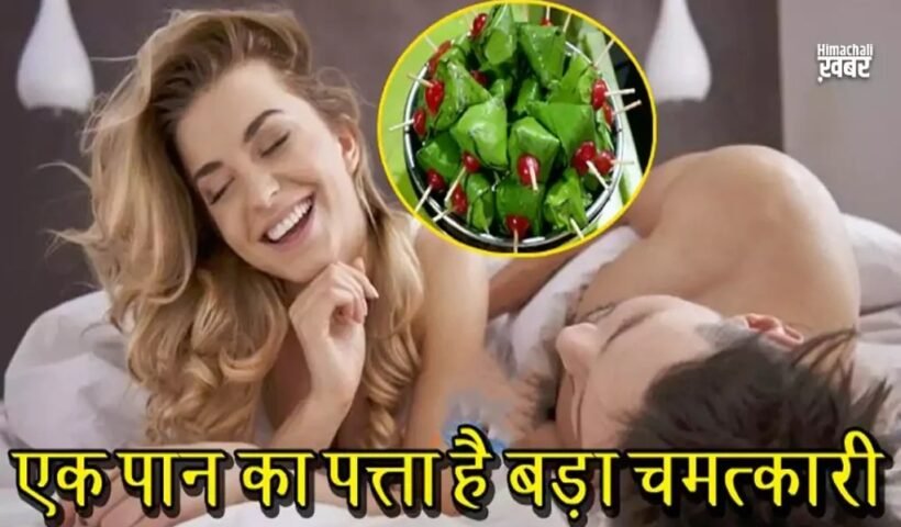 सोने से पहले शादीशुदा पुरुष खा लेंˈ सिर्फ़ एक पान, फिर देखें क़मालˌ