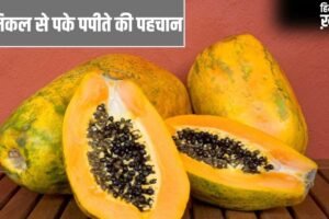 Adulteration in Papaya: केमिकल से पके हुए पपीते की कैसे करें पहचान? ये तरीके आएंगे काम