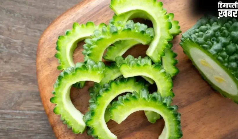 Bitter Gourd: करेले के साथ गलती से भी न खाएं ये 5 चीजें, वरना पड़  जाएंगे लेने के देने!