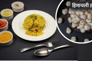 Hydrations Tips: मखाना से पोहा तक… वो हेल्दी चीजें जो शरीर का तेजी से सोखती हैं पानी!