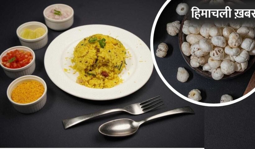 Hydrations Tips: मखाना से पोहा तक… वो हेल्दी चीजें जो शरीर का तेजी से सोखती हैं पानी!