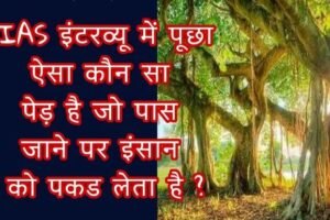 IASˈ इंटरव्यू में पूछा, ऐसा कौन सा पेड़ है जो पास जाने पर इंसान को पकड लेता है ? जाने जवाब