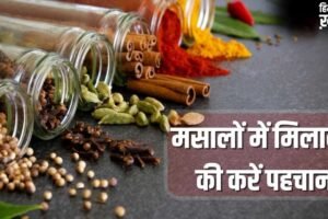 Spice Adulteration: हेल्दी रहना है तो रसोई से करें शुरुआत, धनिया से सेंधा नमक तक…ऐसे पकड़े मिलावट