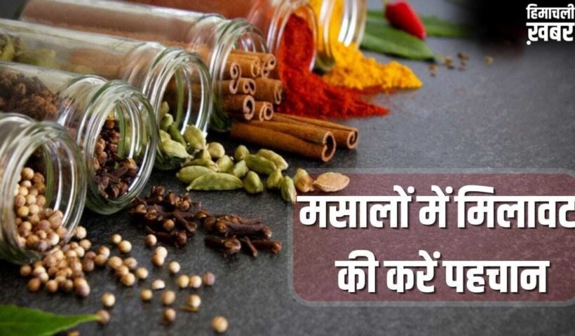 Spice Adulteration: हेल्दी रहना है तो रसोई से करें शुरुआत, धनिया से सेंधा नमक तक…ऐसे पकड़े मिलावट