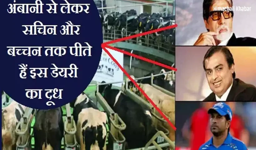 अंबानीसे लेकर सचिन और बच्चन​ तक पीते हैं इस डेयरी का दूध, 1 ली. दूध की कीमत है इतनी