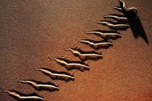 अगर रेत पर दिखे ऐसा निशान तो तुरंत हो जाएं सावधान, मौत कर सकती है कभी भी हमला!