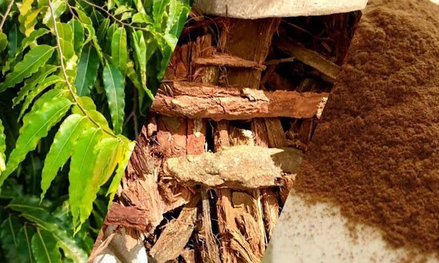 अगरˈ बच्चेदानी कमजोर है तो घबराएं नहीं: ये 4 देसी चीजें अंदरूनी ताकत बढ़ाकर कर सकती हैं कमाल