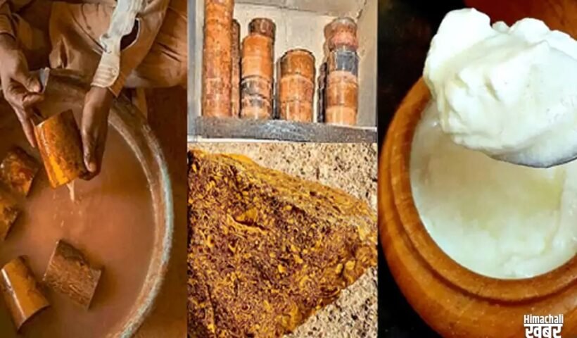 आज तक कोई नहीं सुलझा पाया हाबूर का रहस्य, ये पत्थर दूध को बना देता है दही