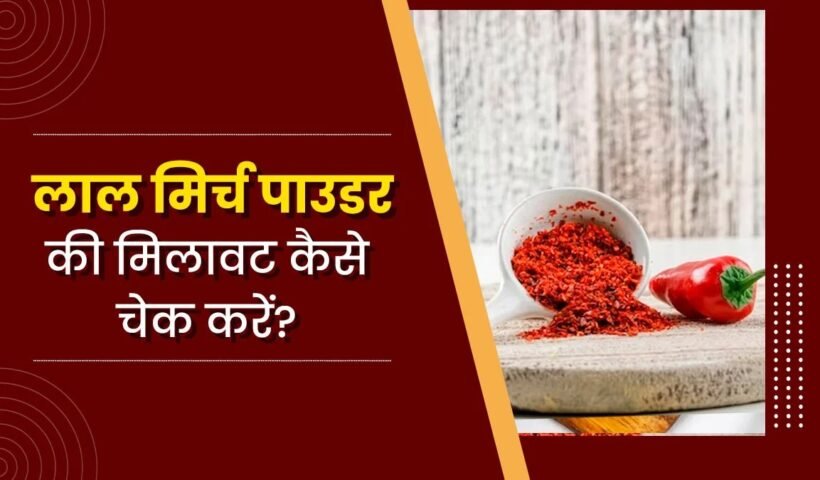 आपका लाल मिर्च पाउडर कितना शुद्ध है? कहीं उसमें ईंट का चुरा तो नहीं मिला? ऐसे पता लगाएं