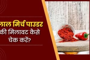 आपकाˈ लाल मिर्च पाउडर कितना शुद्ध है? कहीं उसमें ईंट का चुरा तो नहीं मिला? ऐसे पता लगाएं