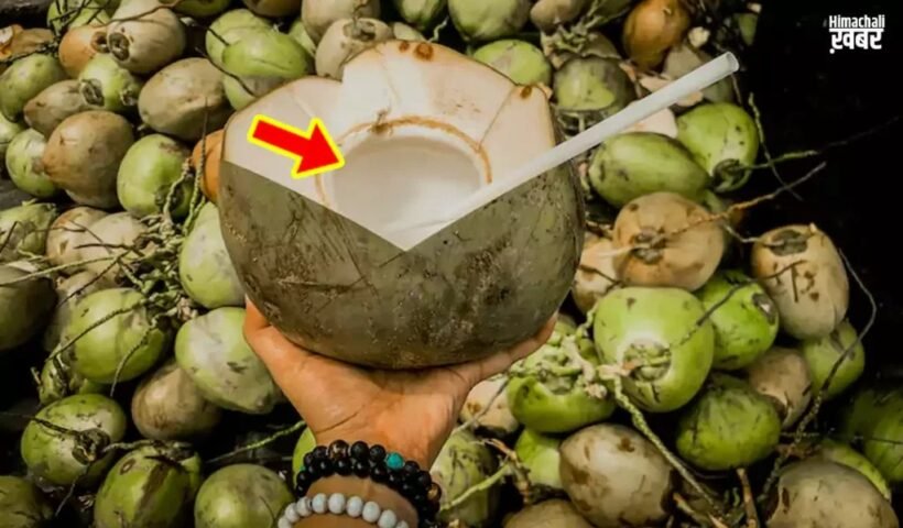 इन ट्रिक्स से करें पता की आपके नारियल में कितना पानी है और कितनी मलाई?