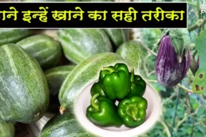 इनसब्जियों में घुसे होते हैं​ खतरनाक कीड़ें जाने इन्हें खाने का सही तरीका