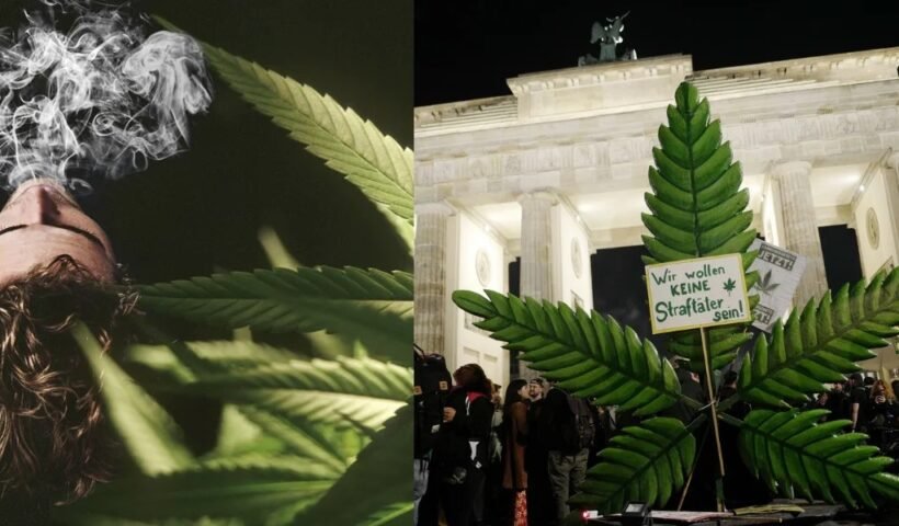 इस देश में गांजा⁣⁣ हुआ लीगल, अब घर में ही उगा सकेंगे नशे के ये 3 पौधे, नाम जानकर आपको भी होगी खुशी