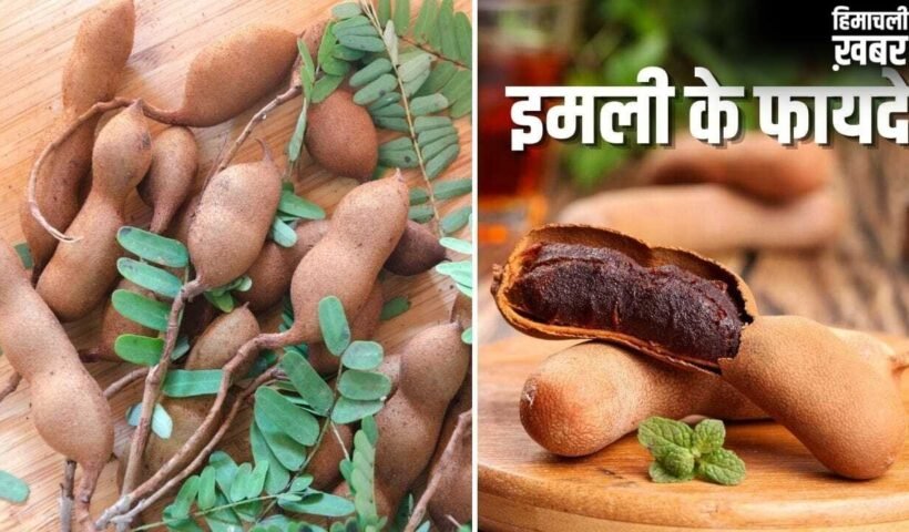 कच्ची से पकी इमली तक…इसे खाने से मिलते हैं शरीर को ढेरों अलग-अलग फायदे