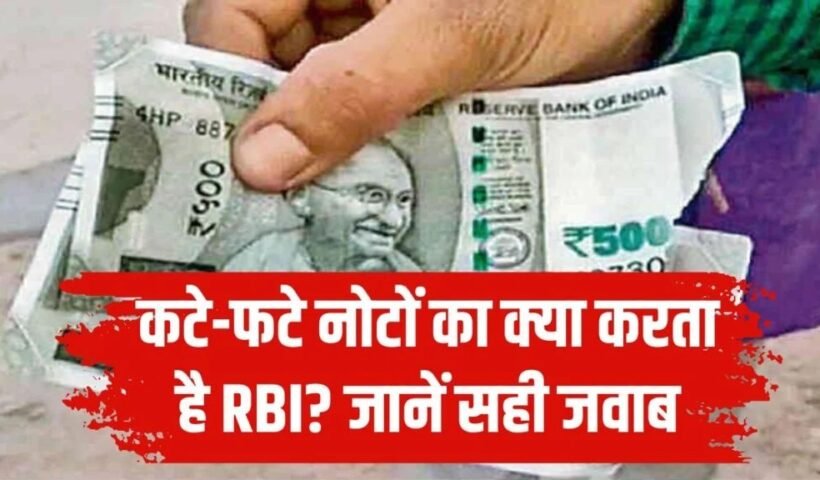 कटे-फटे नोटों के साथ क्या किया जाता है? आधे इंडिया को नहीं पता इसका सही जवाब