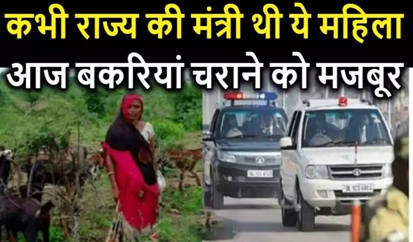 कभी लाल बत्ती वाली गाड़ी में चला करती थीं ये महिला, आज बकरी चराकर कर रही है अपना गुजारा