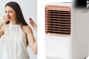कूलर से आ रही मछली जैसी बदबू, तो अपनाकर देखें ये घरेलू नुस्खे, दूर होगी गंध