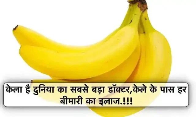 केलाˈ है दुनिया का सबसे बड़ा डॉक्टर केले के पास हर बीमारी का इलाज जानिए विस्तार से