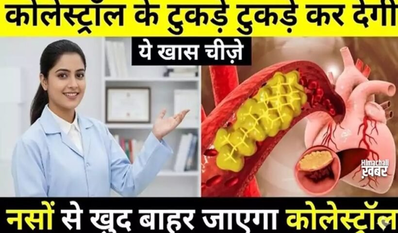 कोलेस्ट्रॉल के टुकड़े टुकड़े कर देगी ये खास चीज़े, नसों से खुद बाहर आ जायेगा कोलेस्ट्रॉल