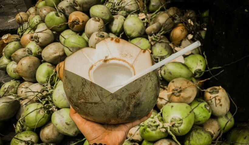 क्या नारियल पानी पीने⁣⁣ से वजन कम होता है? जानें वेट लॉस में कैसे है फायदेमंद?