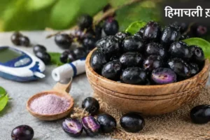 गर्मियों में मिलने वाला यह काला फल है डायबिटीज का काल! बस जान लें खाने का सही तरीका