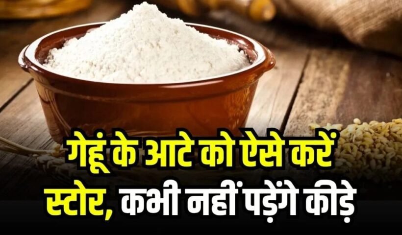 गेहूंˈ का आटा ऐसे करें स्टोर, महीनों तक नहीं पड़ेंगे कीड़े