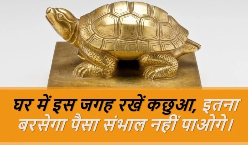 घरˈ में इस जगह रखें कछुआ इतना बरसेगा पैसा संभाल नहीं पाओगे