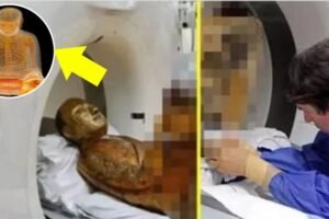 जब 1500 वर्ष पुरानी मूर्ति का हुआ CT Scan तो रिपोर्ट देख कर डॉक्टर्स की आँखें भी रह गई फटी