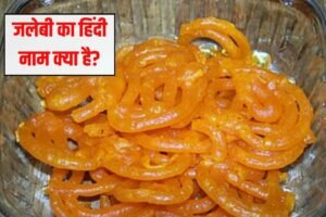 जलेबी का हिंदी नाम क्या है? 99% लोग नहीं जानते हैं यह वाला नाम, बता दिया तो मान जाएंगे ज्ञानी हो आप