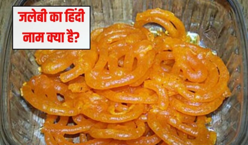 जलेबी का हिंदी नाम क्या है? 99% लोग नहीं जानते हैं यह वाला नाम, बता दिया तो मान जाएंगे ज्ञानी हो आप