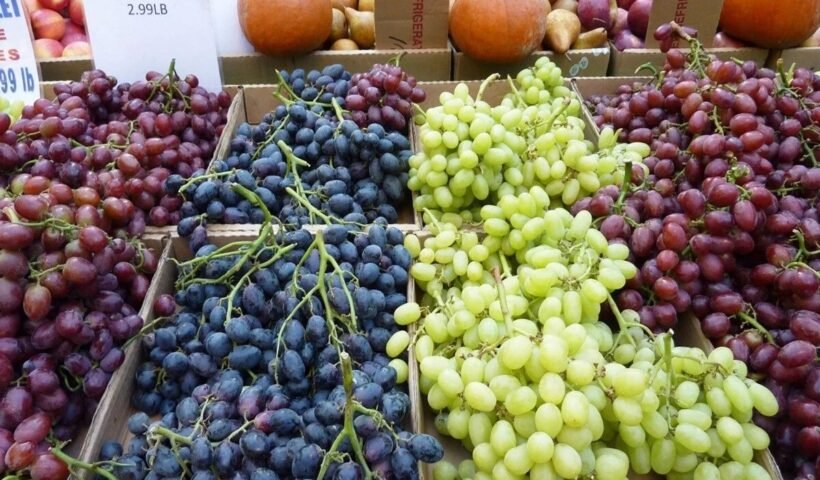 जल्द बाजार में बिकने लगेगा ये जहर, मौत खरीदेंगे लोग, खाते ही होगा ऐसा हाल, खाते ही होगा ऐसा हाल