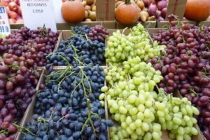 जल्दˈ बाजार में बिकने लगेगा ये जहर, मौत खरीदेंगे लोग, खाते ही होगा ऐसा हाल, खाते ही होगा ऐसा हाल