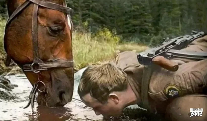 जहांघोड़े पी रहे हैं वहीं​ पिएं क्योंकि वे कभी भी… ऐसी 12 बातें जो सभी को पता होनी चाहिए।