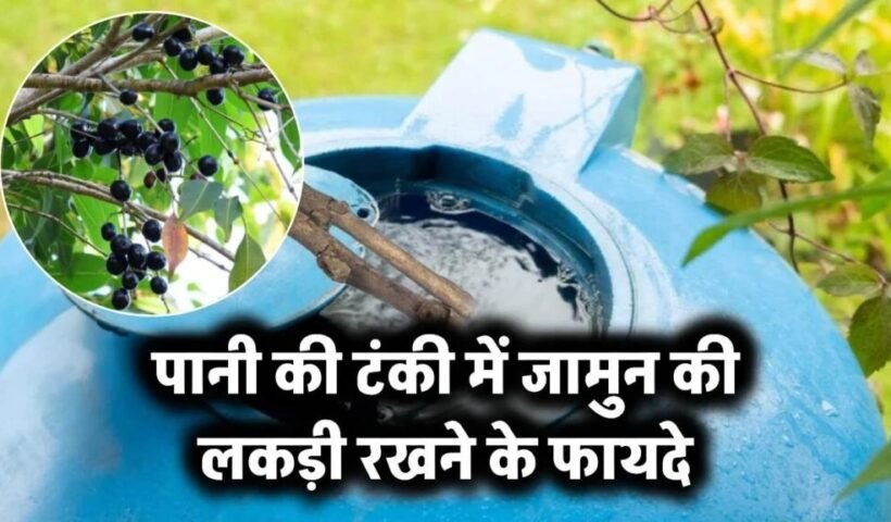 जामुन की लकड़ी पानी की टंकी में डालने के क्या फायदे होते हैं, आप भी जान लो Jamun Wood in Water Tank
