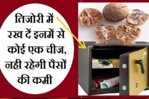 तिजोरीमें रख दें इनमें से​ कोई एक चीज, हमेशा बनी रहेगी धन की बरकत और नहीं होगी पैसों की कमी