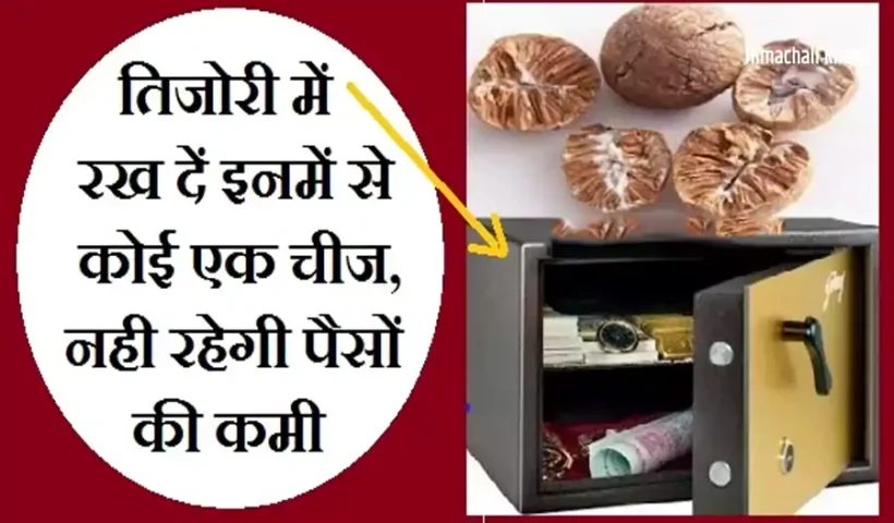 तिजोरीमें रख दें इनमें से​ कोई एक चीज, हमेशा बनी रहेगी धन की बरकत और नहीं होगी पैसों की कमी