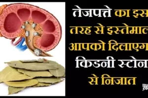 तेजपत्तेका इस तरह से इस्तेमाल​ आपको दिलाएगा किडनी स्टोन से निजात