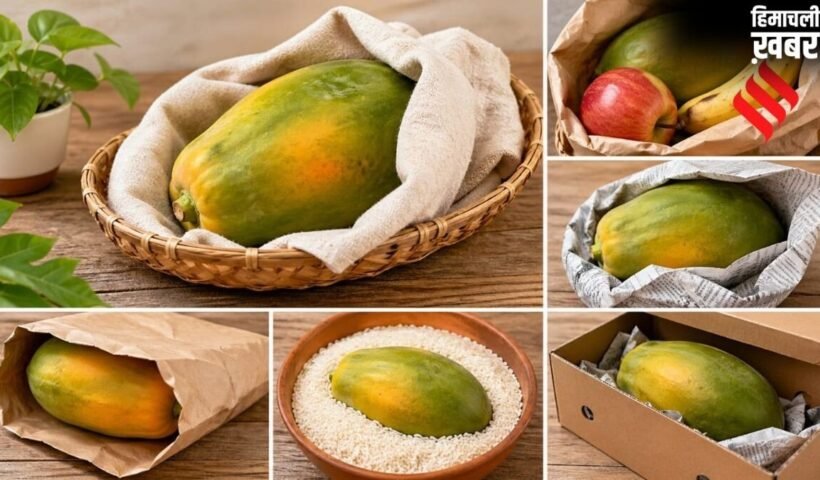 नहीं खाना मार्केट का पपीता, तो घर पर इन 3 देसी तरीकों से पकाएं