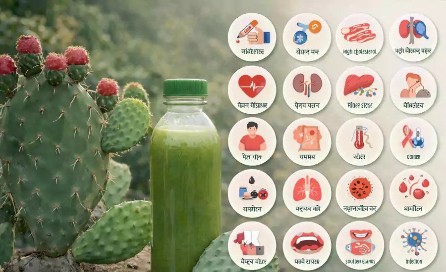 नागफनी इन 20 रोगों में किसी वरदान से कम नही, करती है संजीवनी बूटी की तरह काम, जरूर पढ़े और शेयर करे