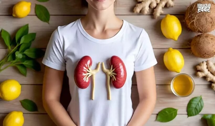 पथरीˈ का जड़ से इलाज! ये घरेलू नुस्खा करेगा पथरी को गलाकर बाहर अब नहीं सहना पड़ेगा दर्द